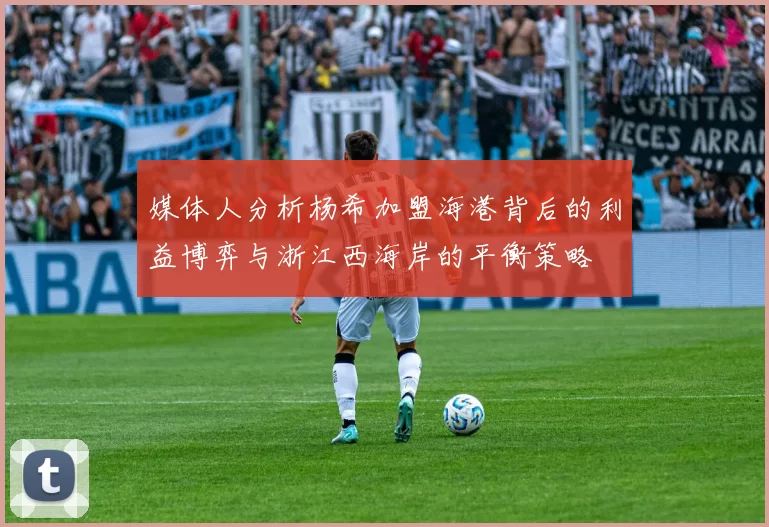 媒体人分析杨希加盟海港背后的利益博弈与浙江西海岸的平衡策略