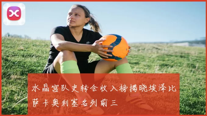 水晶宫队史转会收入榜揭晓埃泽比萨卡奥利塞名列前三